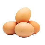 Wholesale Supply 100% Organic White and Brown Fertile Chicken Eggs Fresh Direct From Farm Table for Food Use at Best Price