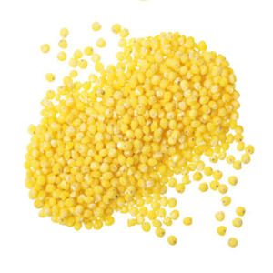 Authentic Organic Roasted Hulled Millet Directly From Kazakhstan's Producer Wholesome and Delicious Whole Grain for Bird Feed