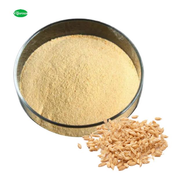 Pure Natural Organic Barley Malt Powder For Food And Health