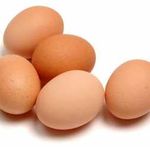 Organic Fresh Chicken Table Eggs & Fertilized Hatching Eggs / Fresh White and Brown Chicken Table Eggs