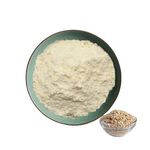 Factory Wholesale High Quality 100% Natural & Organic Oat Milk Powder