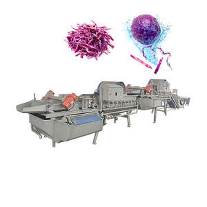 Eco-Friendly Leafy Greens Cleaner for Healthy and Clean Vegetables