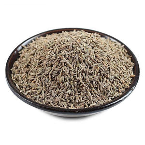 Special Hot Selling Natural Granule Seasoning Single Spices Herbs Organic Dried Cumin Seeds