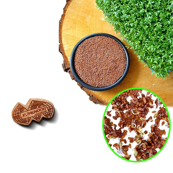Cress | Leafy Green Herb | Premium Farming Export